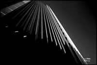 Lines