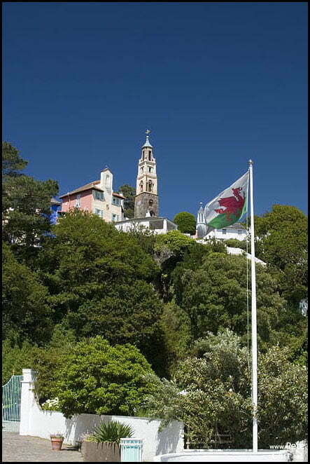 CRW_1012.jpg