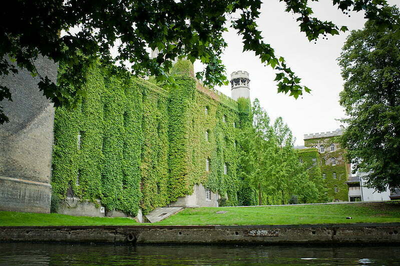 Photo By: Pete Carr (Pete Carr)