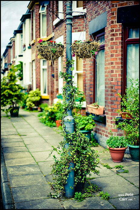 Just off Lark Lane Just off Lark Lane
