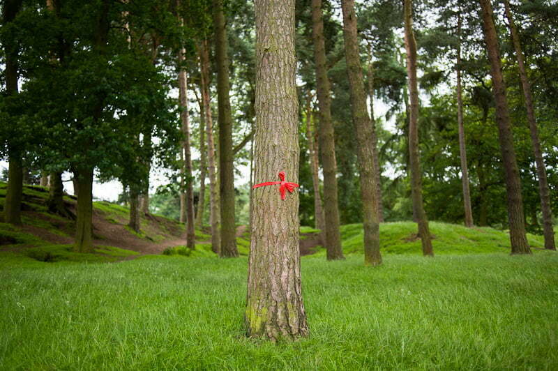 moment-when-tatton-park-3676